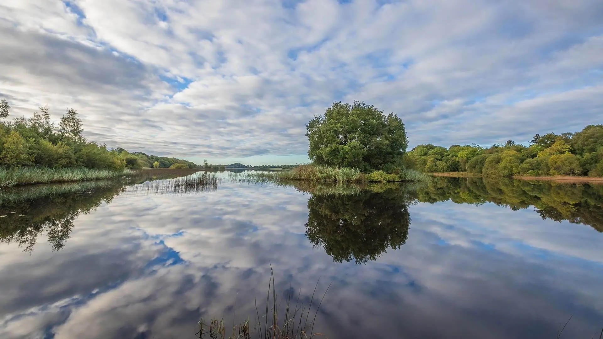 The Space at Lough Rynn Castle