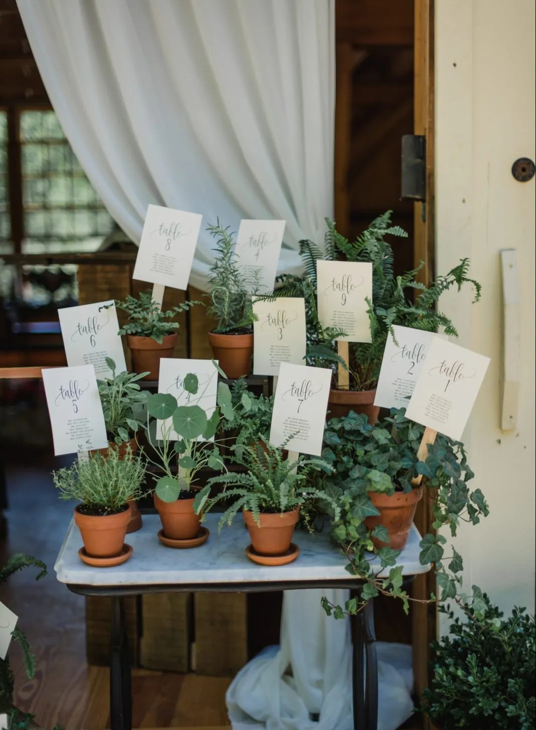 Potted Plant Aisle Decor