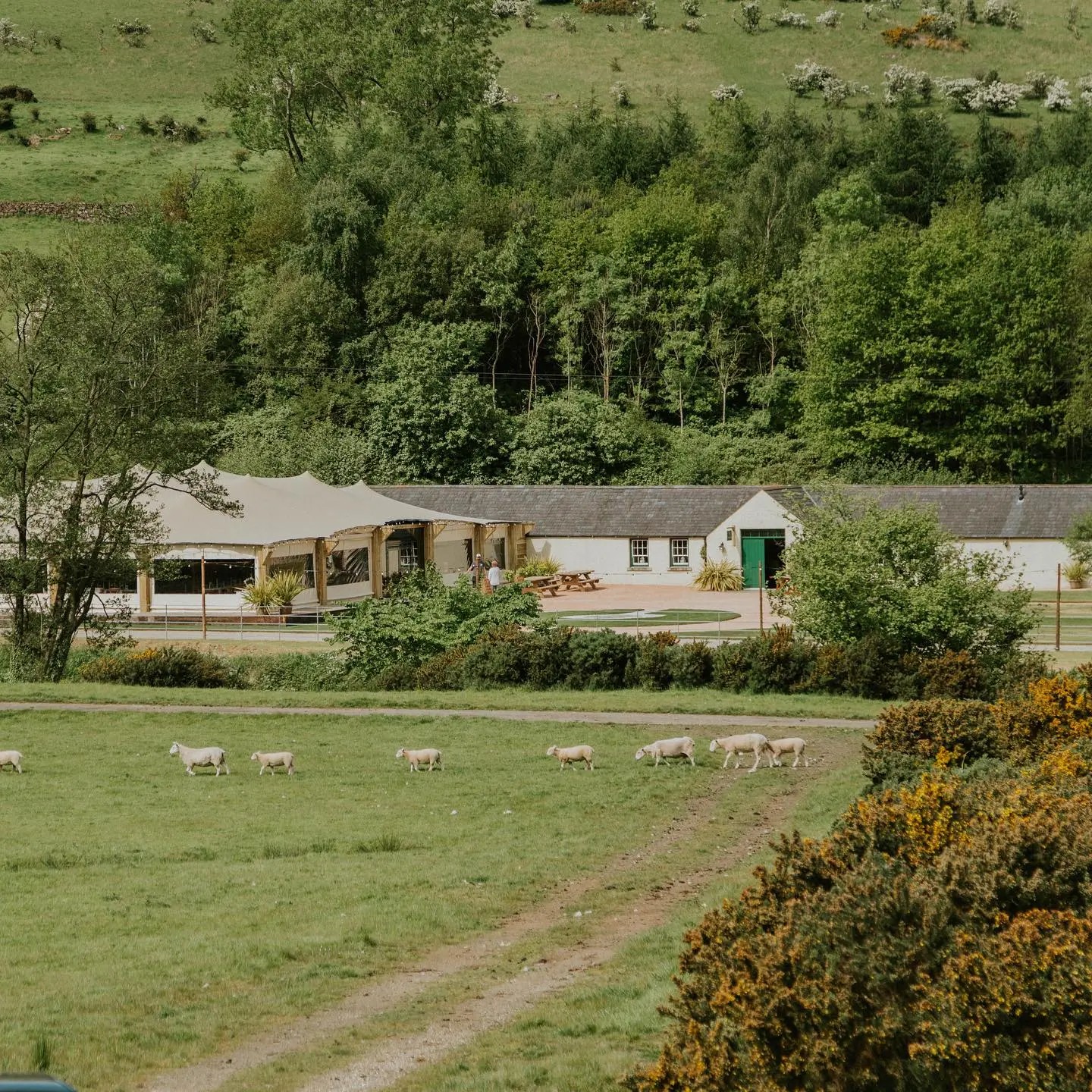 Tigh Phaidi, Co. Mayo