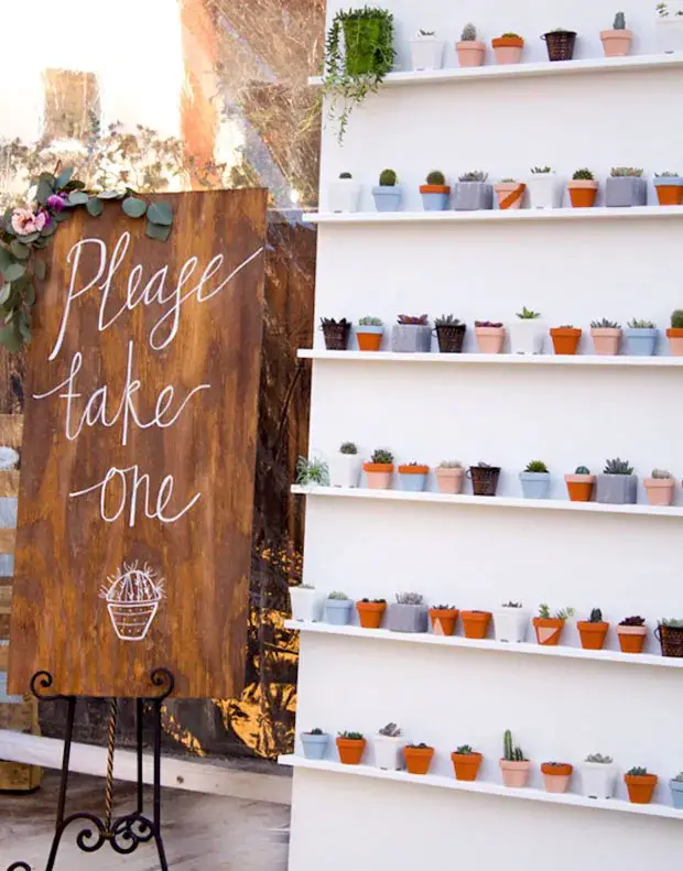 Potted Plants as Centrepieces