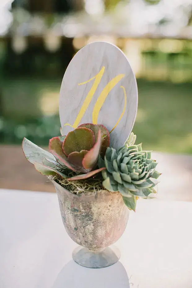 Potted Plant Wedding Table Plans