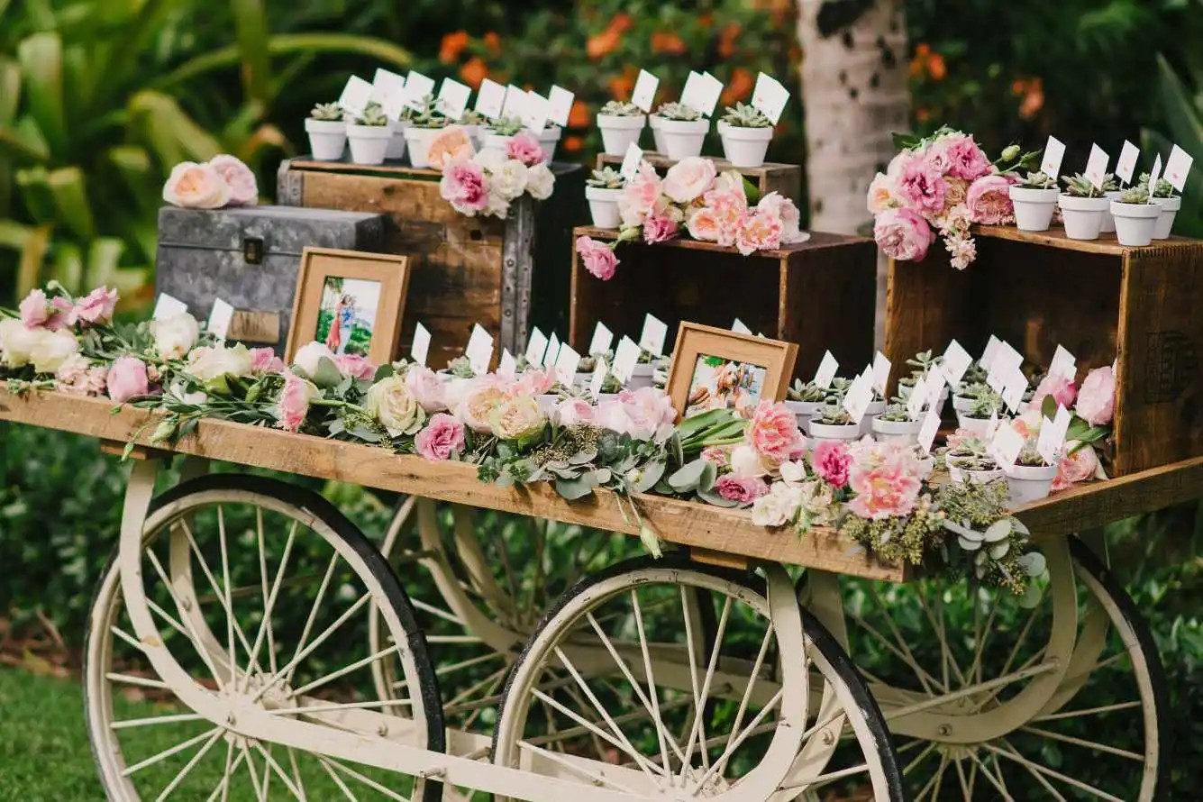 Potted Plants as Centrepieces