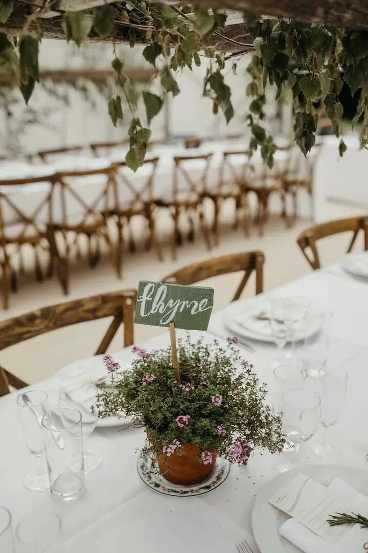 Potted Plant Wedding Table Plans