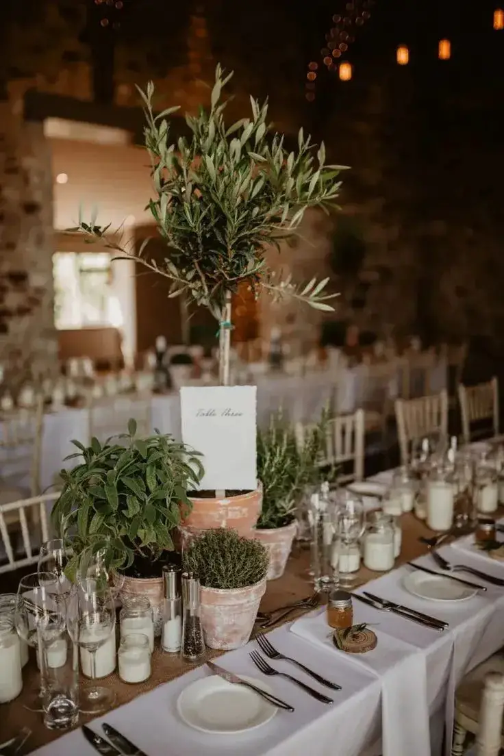 Potted Plant Wedding Table Plans