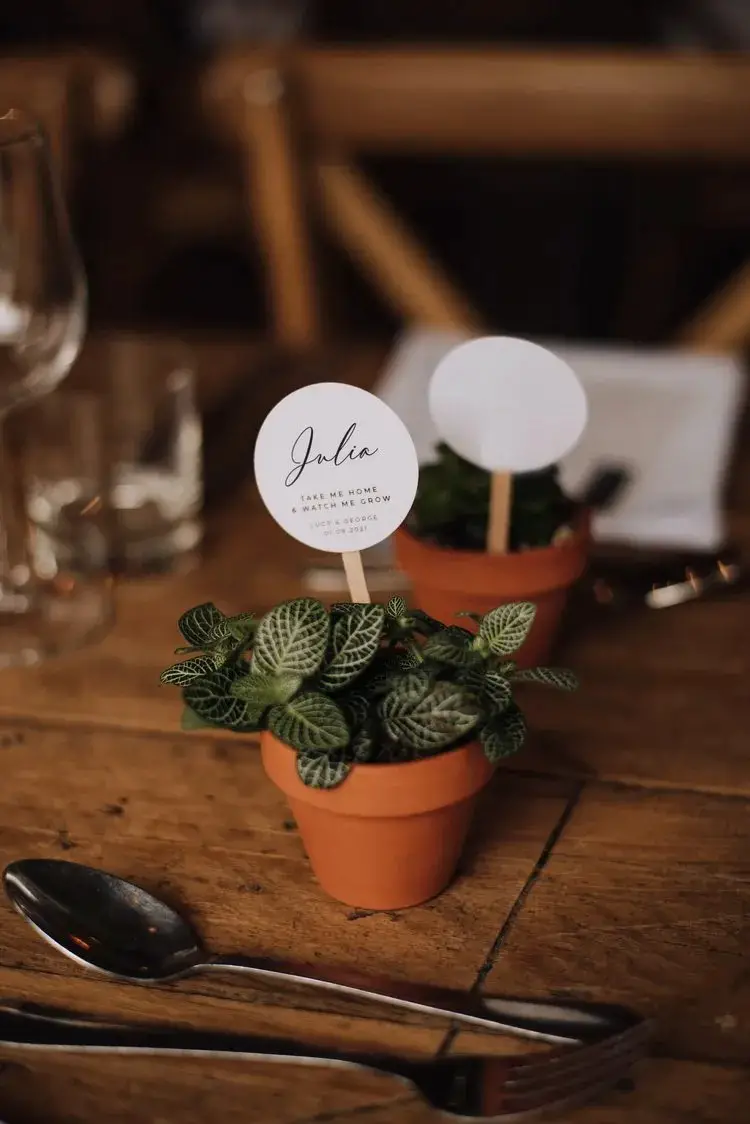 Potted Plants as Centrepieces