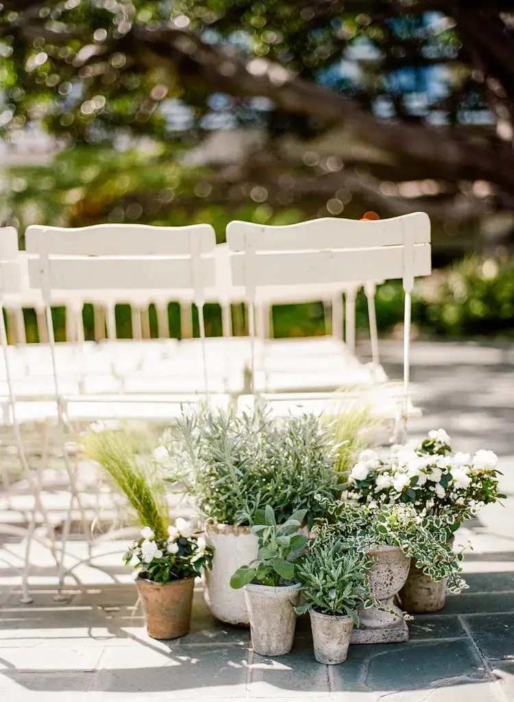 Potted Plant Ceremony Backdrops