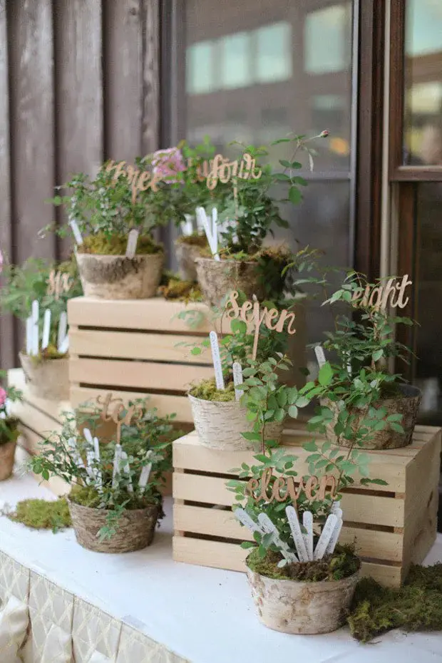 Potted Plant Aisle Decor