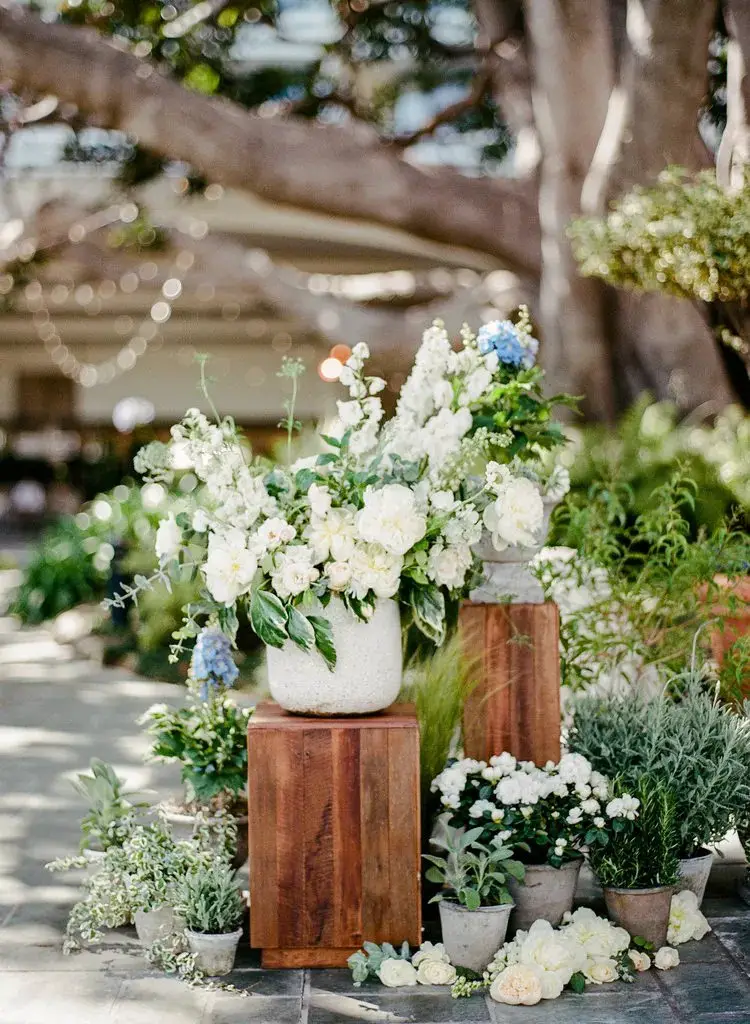 Potted Plant Place Cards & Favours