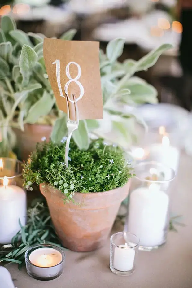 Potted Plant Wedding Table Plans