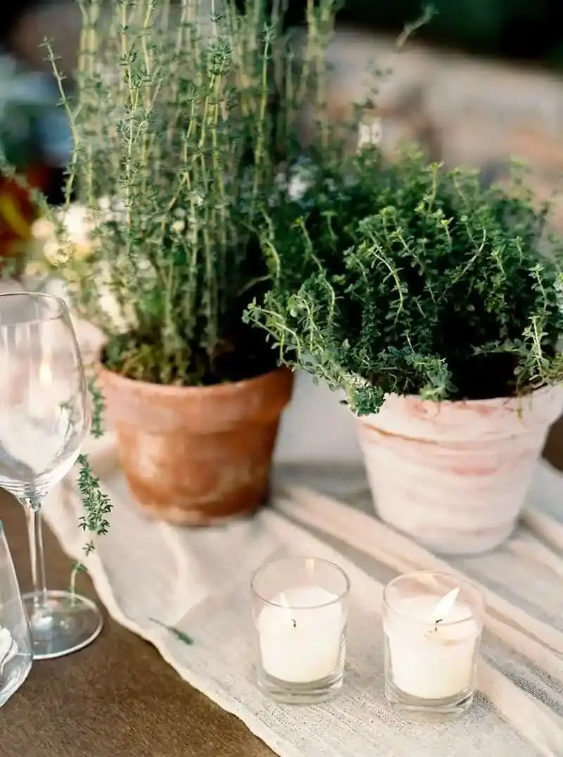 Potted Plant Table Numbers & Names