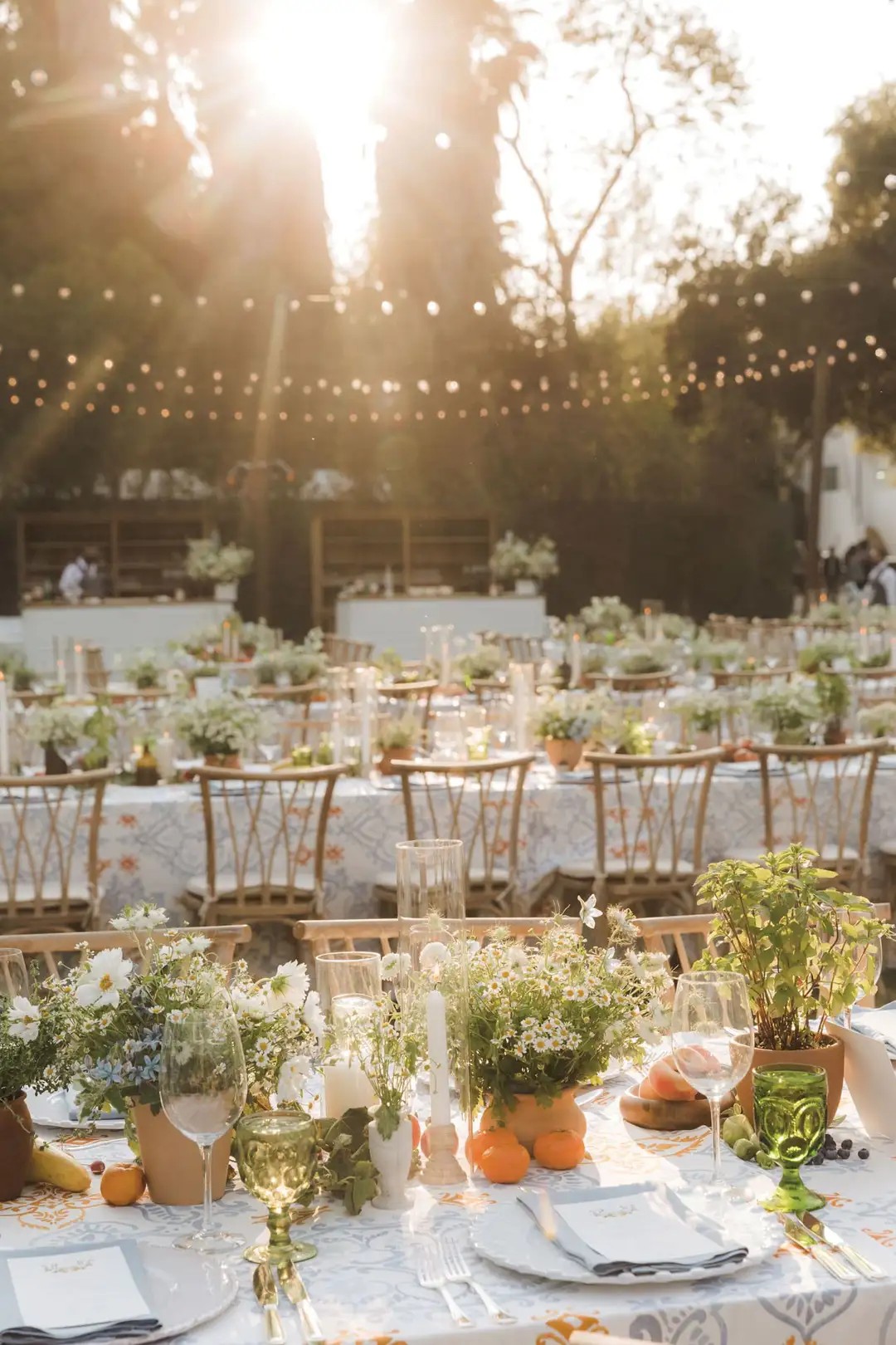 Potted Plant Table Numbers & Names