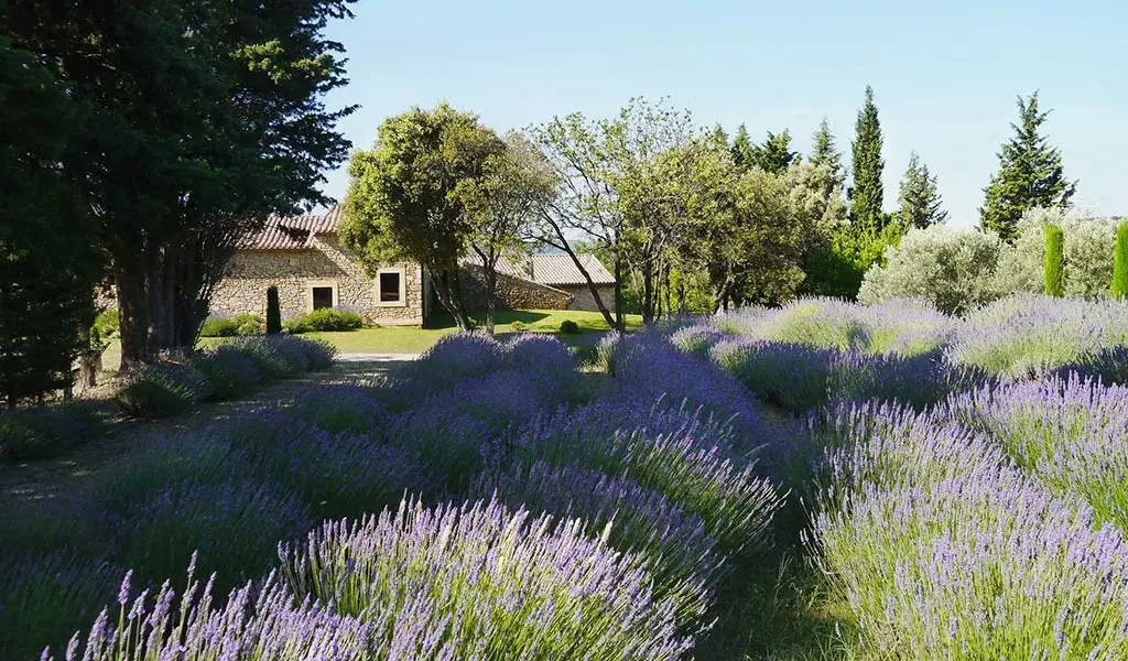 Chateau de Lartigolle