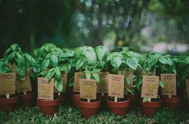 5 Green-Fingered Wedding Favour Ideas