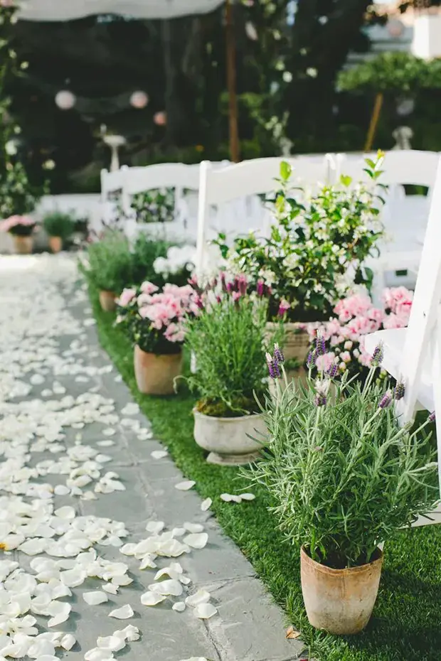 Potted Plant Ceremony Backdrops